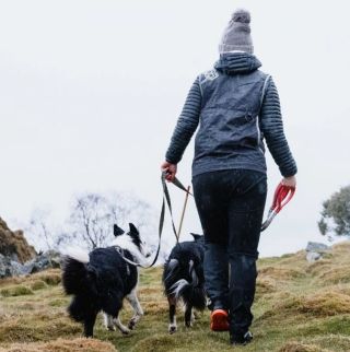 Znáte skvělou lidskou vestu TRAINER HURTTA? Aby ne, jeden z nejvymakanějších produktů pro pejskaře a bestseller minulých...