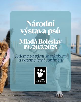 Již tento víkend budeme se stánkem plným HURTTY na Národní výstavě psů v Mladé Boleslavi!!! Co pro Vás chystáme? 🤩 •...
