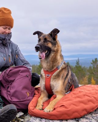 Nová dobrodružství se skvělým vybavením? To máme rádi😍 A proto si zaslouží svou pozornost nový funkční pelíšek, který s...