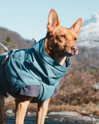 Do výprodeje posledních kousků jsme Vám dnes poslali i Expedition parku v borůvkovém a růžovém provedení 😍 Se slevou až...